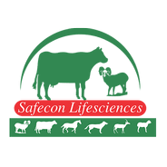 SAFECON LIFESCIENCES PVT LTD